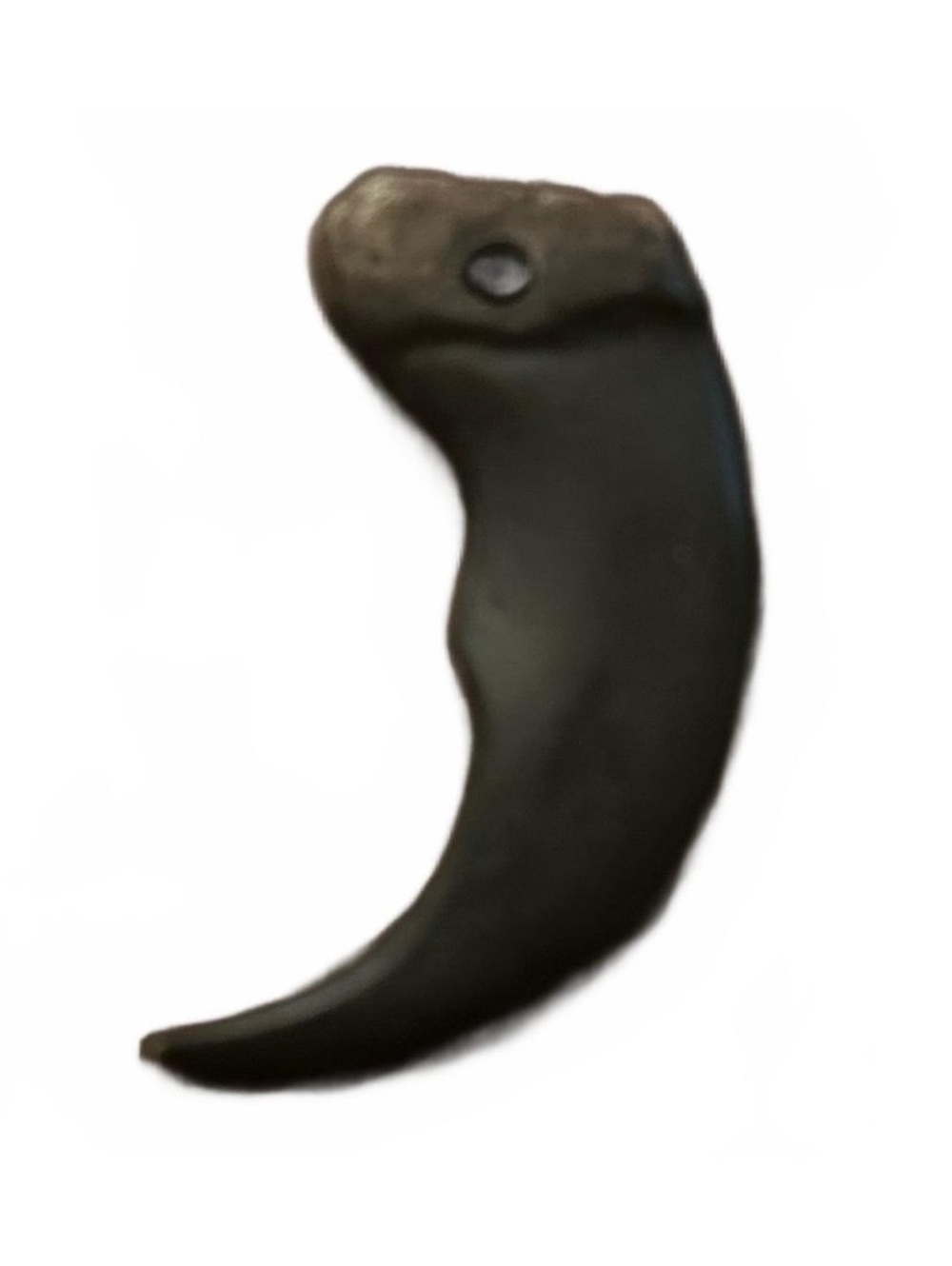 Black Curved Claw Pendant Necklace Charm